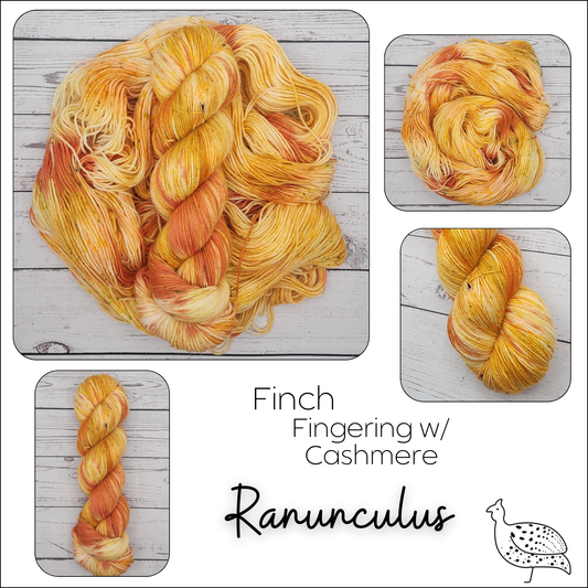 Finch Ranunculus