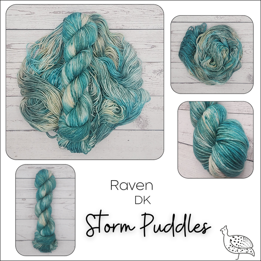 Raven Storm Puddles