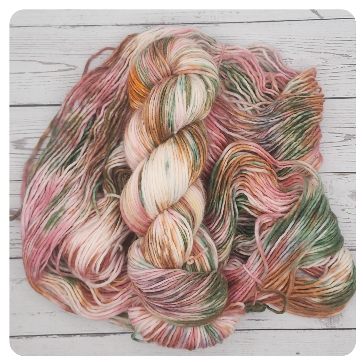 Dove Gingerbread Swirl