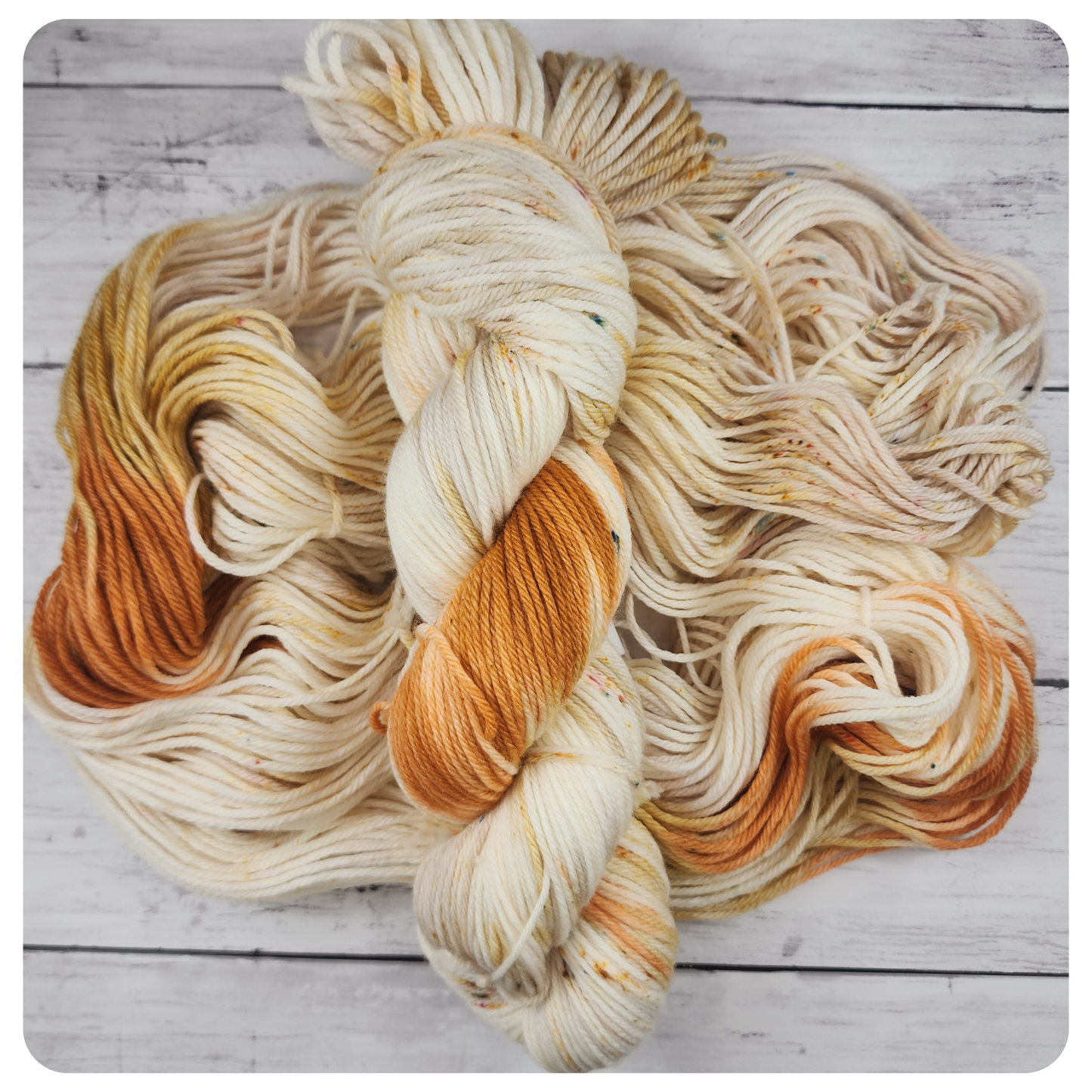 Wren Amber on Driftwood