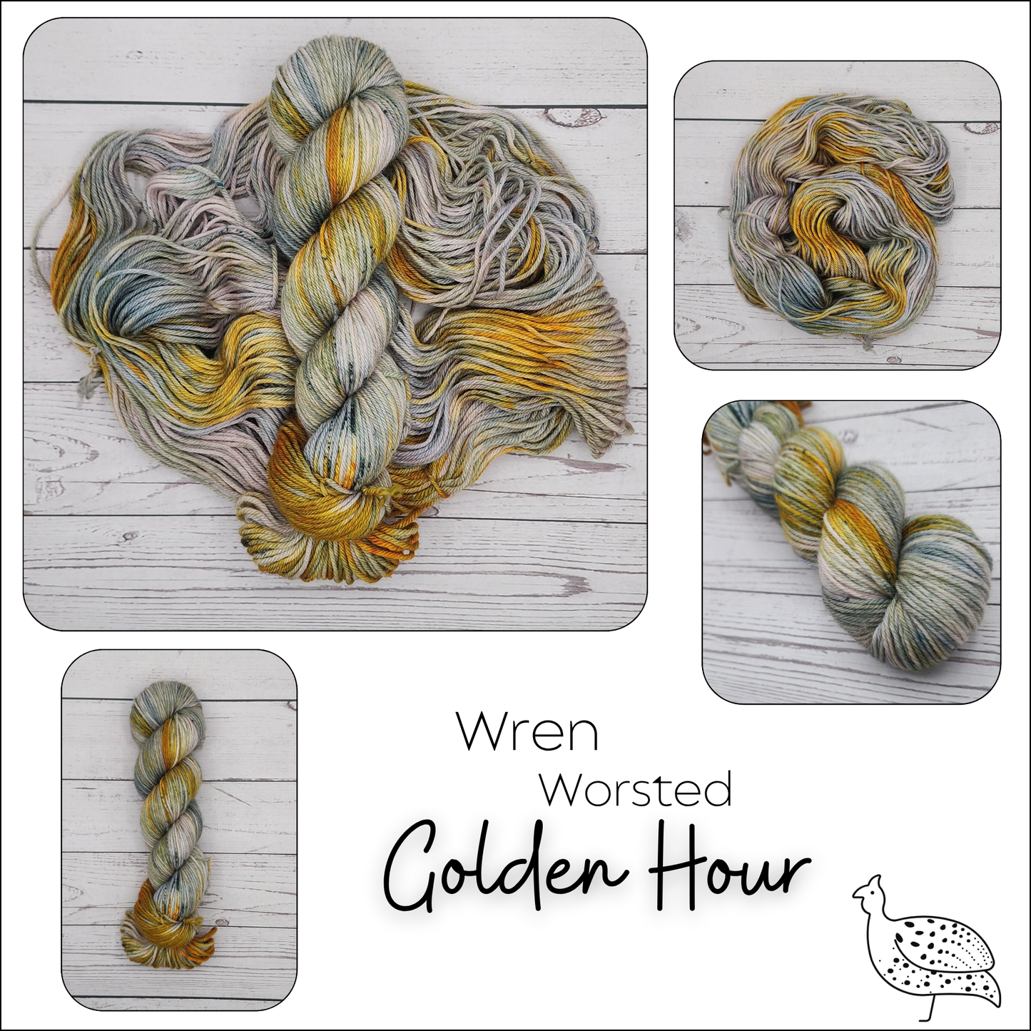 Wren Golden Hour