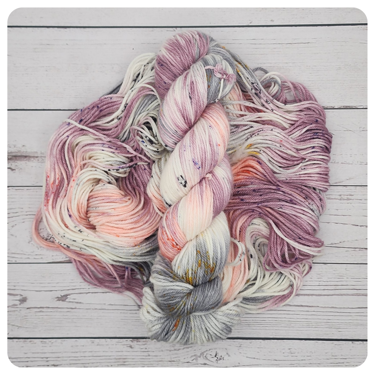 Wren Moon Connection