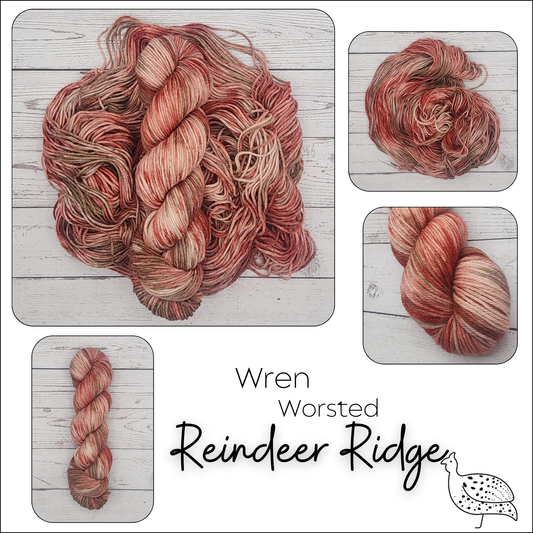 Wren Reindeer Ridge