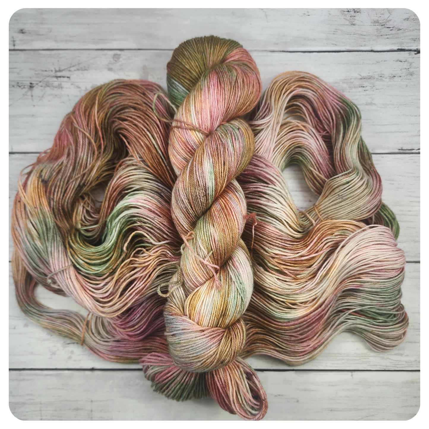 Sparrow Gingerbread Swirl