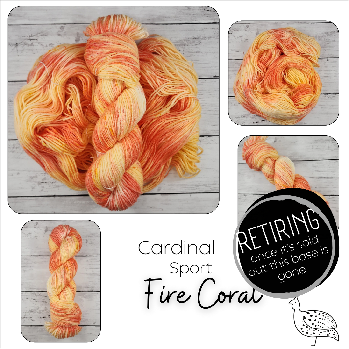 Cardinal Fire Coral (RETIRING)