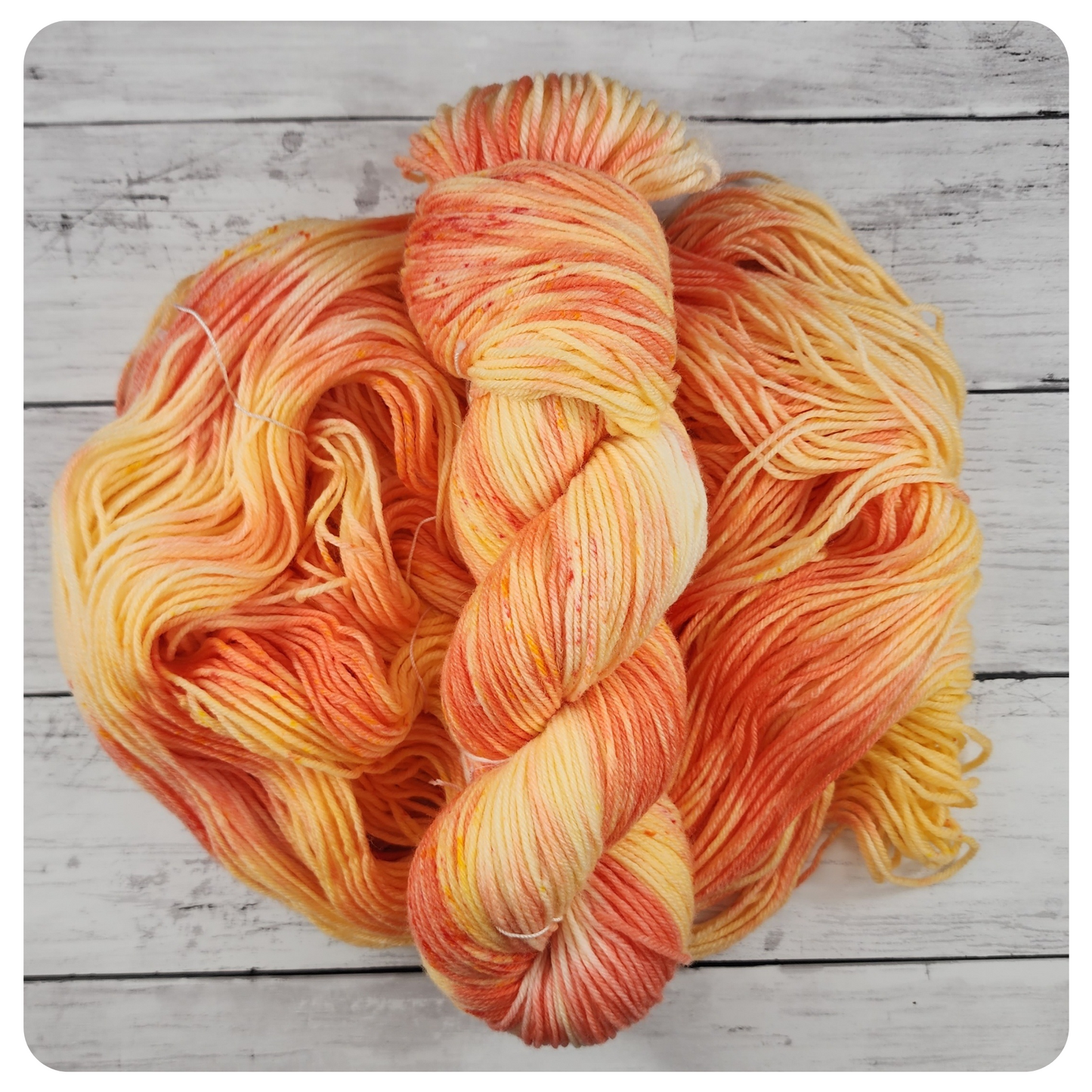 Cardinal Fire Coral (RETIRING)