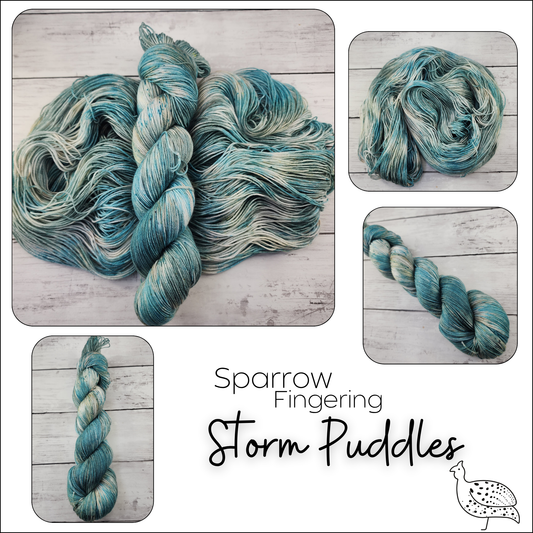 Sparrow Storm Puddles