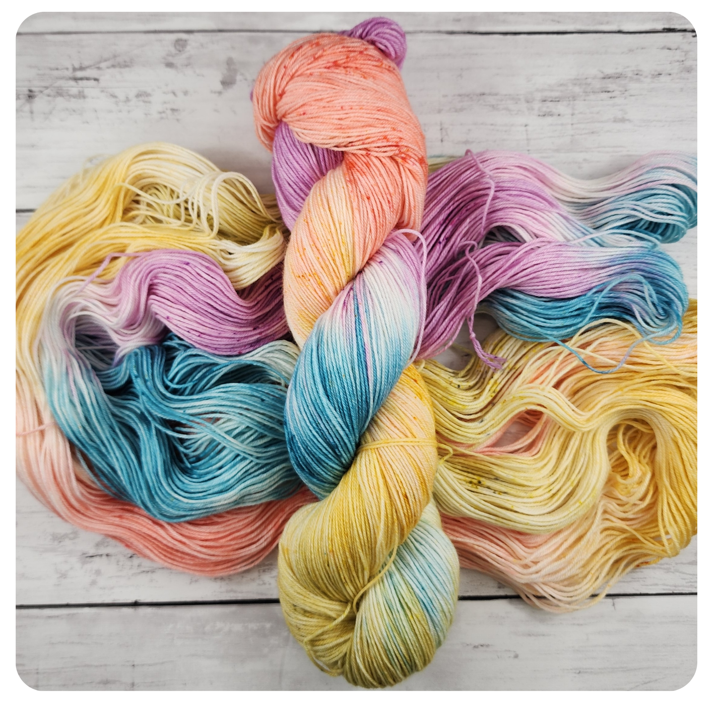 Sparrow Jello Cookie