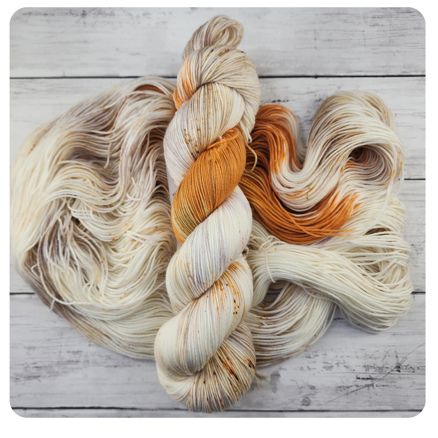 Sparrow Amber on Driftwood