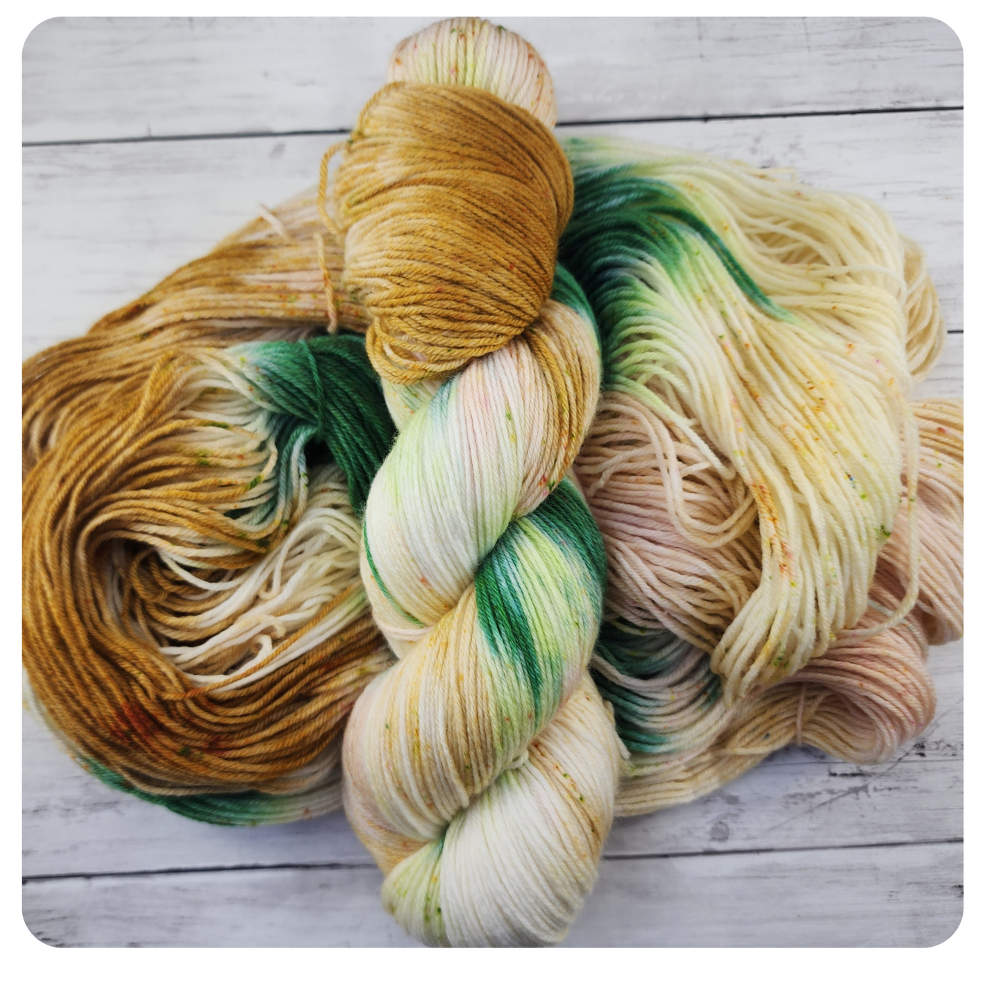 Finch Terracotta Cactus