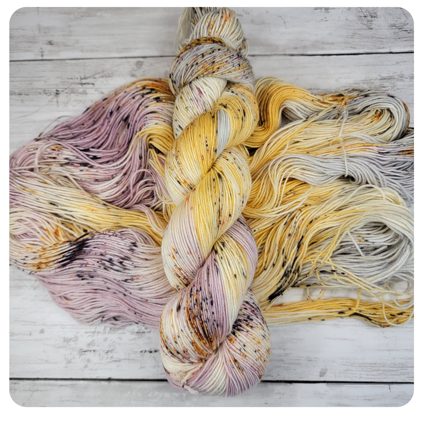 Sparrow Nights at the Lake