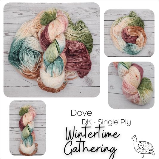 Dove Winter Gathering