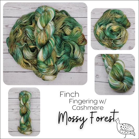 Finch Mossy Forest